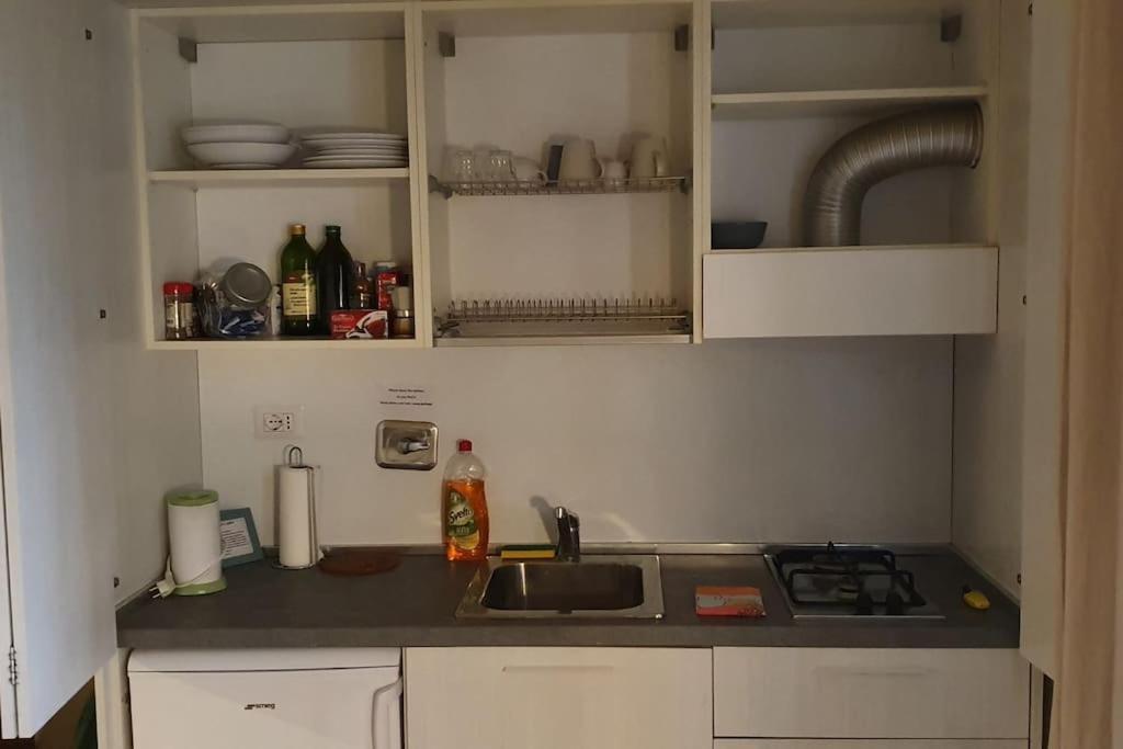 Loft Pino Centrale, A/C Wifi フィレンツェ エクステリア 写真